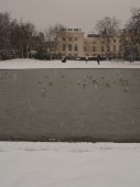 Boating Lake, Regent's Park, 08 Feb 2007